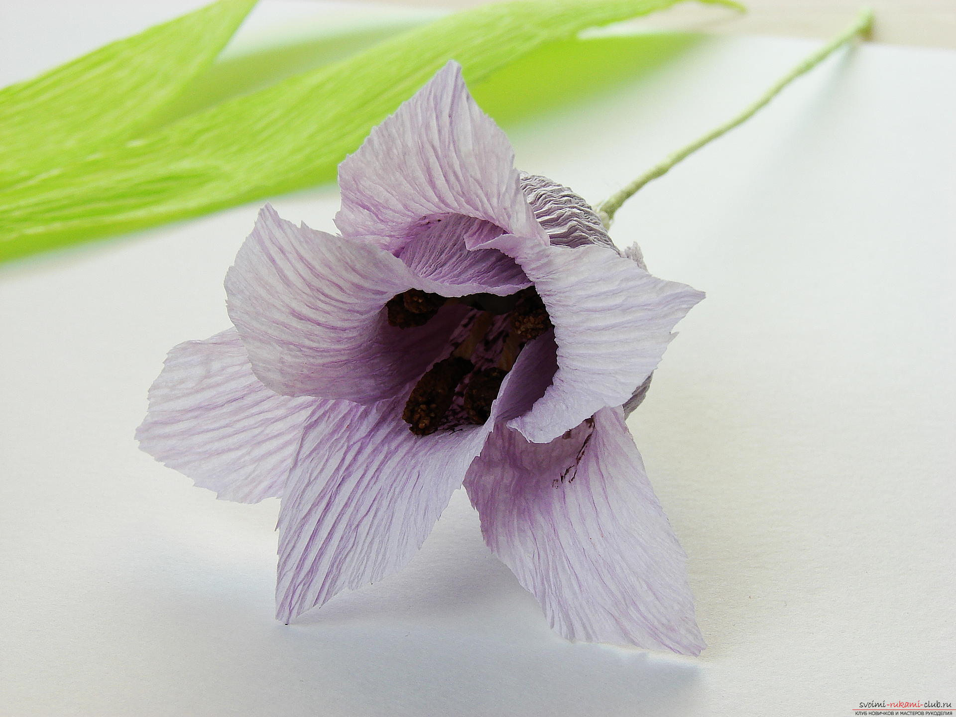 Мастер-класс научит как сделать гофрированные цветы своими руками – лилии из гофрированной бумаги.. Фото №31